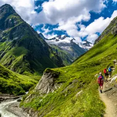 Hikers on a trail amidst lush green mountains, experiencing the beauty of long distance hikes in Europe. Snow-capped peaks loom in the distance.