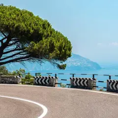Scenic road on the bus route from Naples to Amalfi, with a pine tree and the blue sea.
