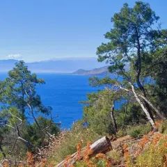 Hikers and their dog enjoy a scenic walk along a coastal trail in Turkey, with stunning blue sea views.