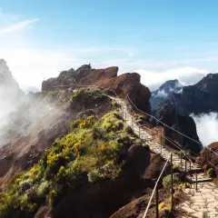 A stone path winds through rugged, misty mountains, dotted with yellow wildflowers. This is the best hike in Madeira, offering breathtaking views.