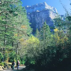 Two hikers enjoy a scenic walk in Spain, surrounded by lush trees and a majestic mountain backdrop.