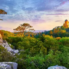 A vibrant Sintra hiking trail leads through lush greenery towards a colorful palace perched on a hill.