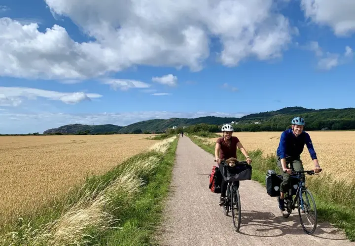 A couple enjoys a scenic bike tour in Sweden, cycling past golden fields under a bright, cloudy sky. A small dog peeks from a basket on one bike.