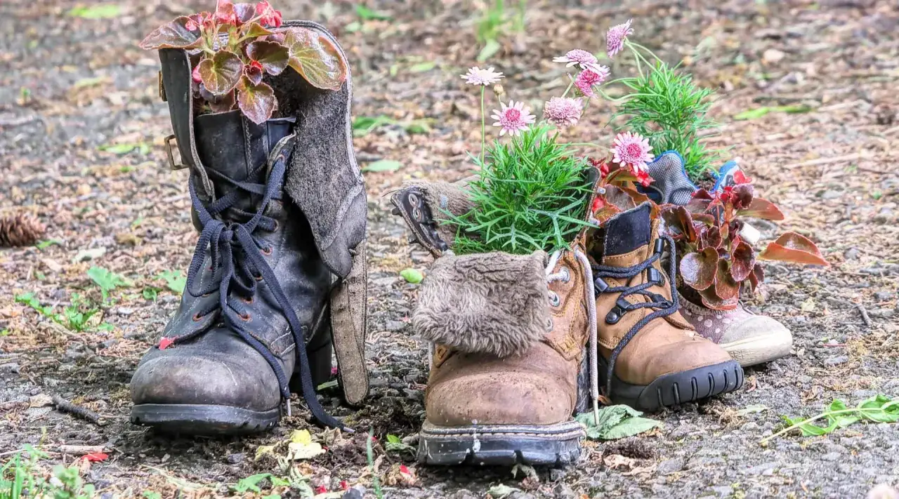 Creative ideas for what to do with old hiking boots: they're repurposed as planters for colorful flowers and foliage, adding a touch of whimsy to the outdoors.